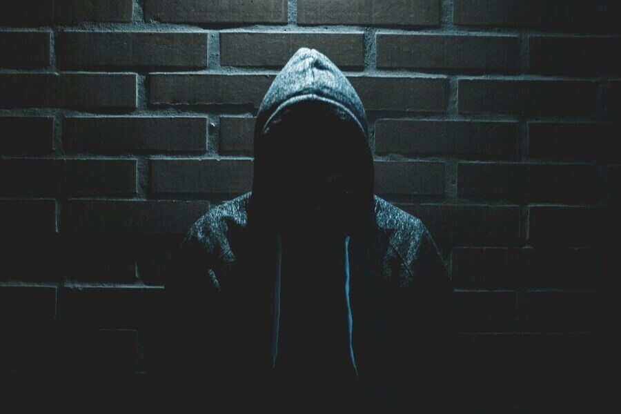 Child Abduction for Sexual Purposes (Penal Code § 207)